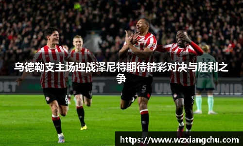 yy易游体育平台